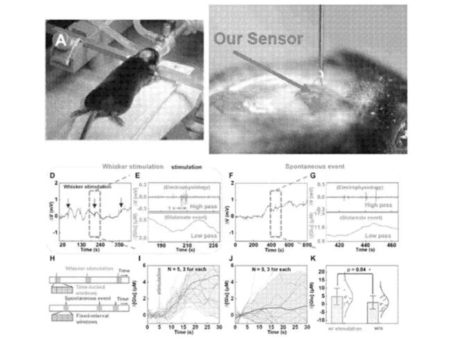 WO2025049953-A1, “Conductive microwire-based biochemical sensors for real-time neurological monitoring.”
